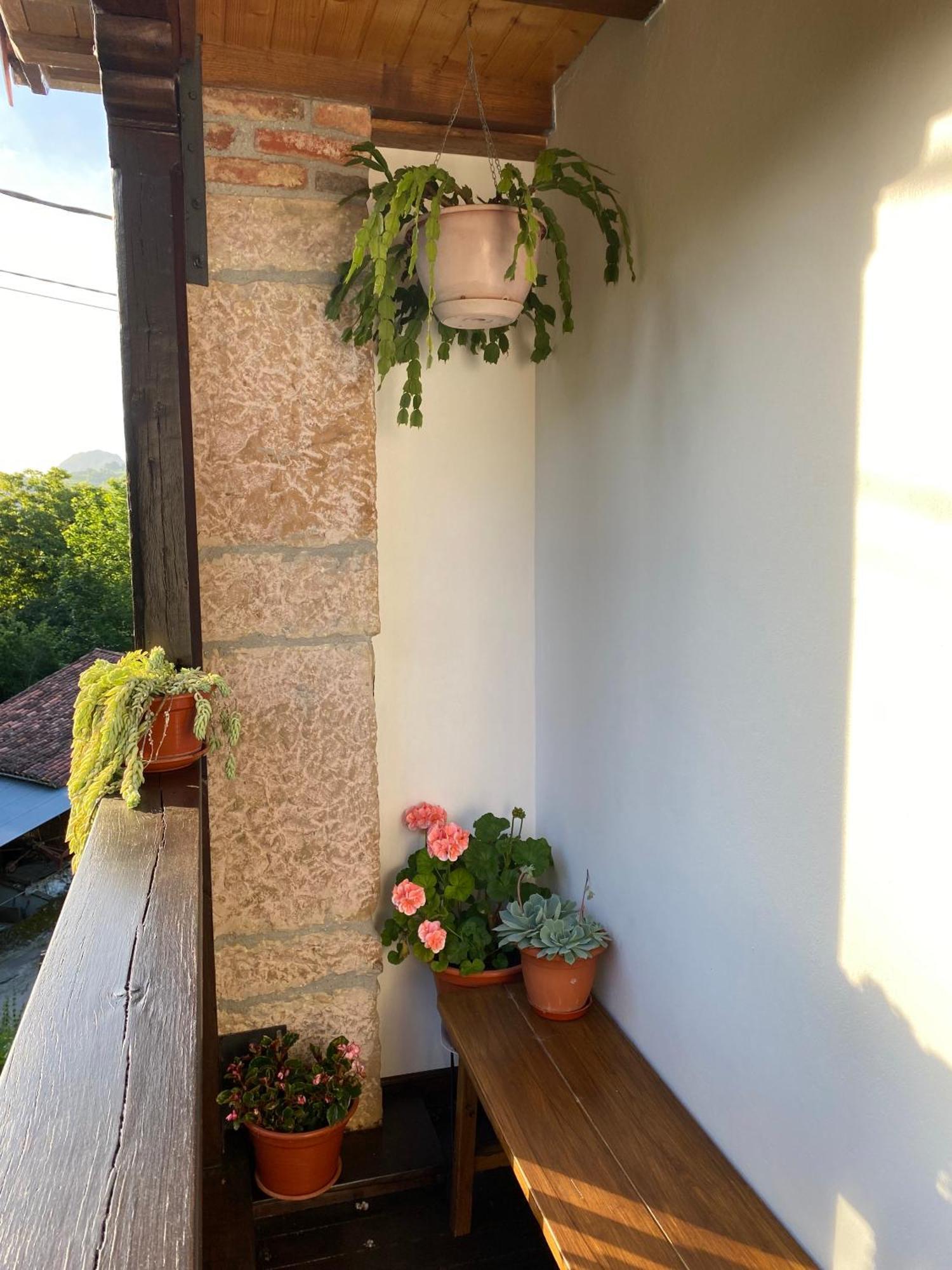 Apartamentos Rurales La Caviana Onís Exteriér fotografie